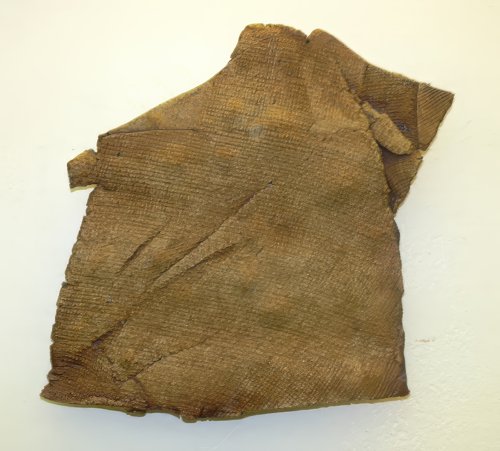 Detail from 8 Japanese Plaques.